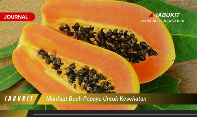 Inilah 8 Manfaat Buah Pepaya untuk Kesehatan Tubuh Anda Secara Lengkap Inilah 8 Manfaat Buah Pepaya untuk Kesehatan Tubuh Anda Secara Lengkap