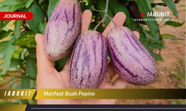 Inilah 9 Manfaat Buah Pepino untuk Kesehatan Tubuh Anda