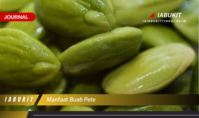 Inilah 9 Manfaat Buah Pete untuk Kesehatan Tubuh Anda