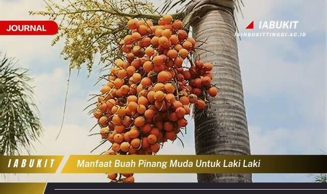 Inilah 10 Manfaat Buah Pinang Muda untuk Kesehatan Pria, Meningkatkan Stamina dan Vitalitas