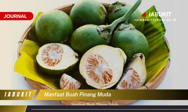Inilah 8 Manfaat Buah Pinang Muda untuk Kesehatan Tubuh Anda Inilah 8 Manfaat Buah Pinang Muda untuk Kesehatan Tubuh Anda