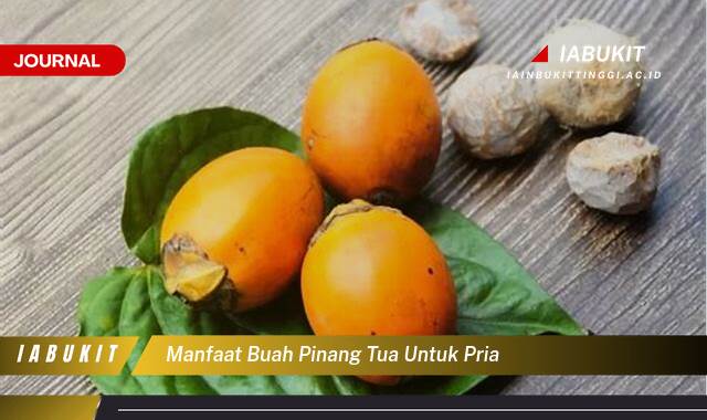 Inilah 8 Manfaat Buah Pinang Tua untuk Pria, Meningkatkan Stamina dan Vitalitas