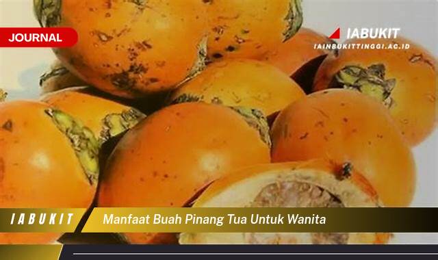 Inilah 10 Manfaat Buah Pinang Tua untuk Wanita, Kesehatan, Kecantikan, dan Lainnya