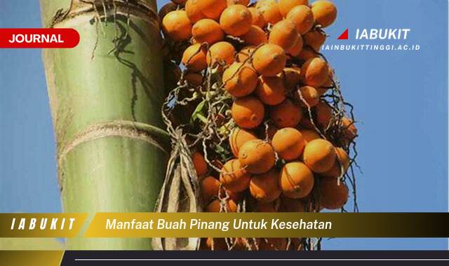 Inilah 9 Manfaat Buah Pinang untuk Kesehatan, Khasiat Tersembunyi yang Perlu Anda Tahu