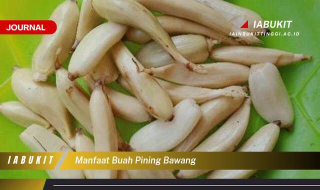 Inilah 9 Manfaat Buah Pinang Bawang untuk Kesehatan Tubuh Anda