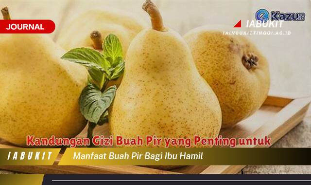 Inilah 9 Manfaat Buah Pir bagi Ibu Hamil, Nutrisi Penting untuk Kesehatan Bunda dan Si Kecil