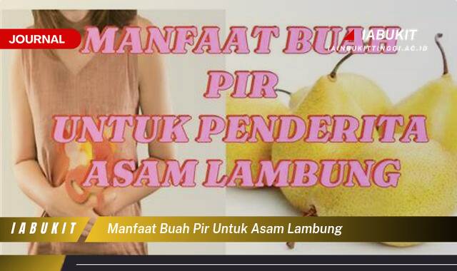 Inilah 10 Manfaat Buah Pir untuk Asam Lambung, Redakan Gejala dan Cegah Kekambuhan