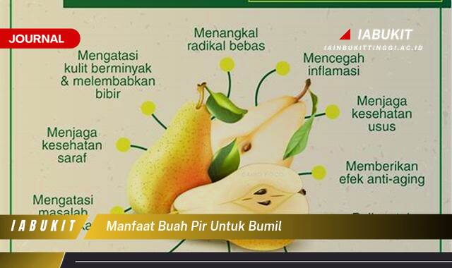 Inilah 8 Manfaat Buah Pir untuk Bumil, Nutrisi Penting, Tips Konsumsi, dan Resep Sehat