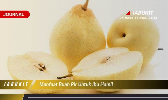 Inilah 10 Manfaat Buah Pir untuk Ibu Hamil, Nutrisi Penting dan Keamanan Konsumsi Inilah 10 Manfaat Buah Pir untuk Ibu Hamil, Nutrisi Penting dan Keamanan Konsumsi