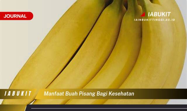 Inilah 9 Manfaat Buah Pisang bagi Kesehatan, Panduan Lengkap dari A sampai Z