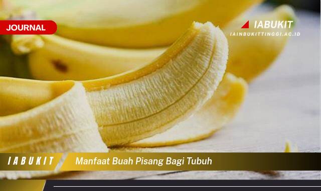 Inilah 10 Manfaat Buah Pisang Bagi Tubuh, Kandungan Gizi, Khasiat Kesehatan, dan Cara Mengonsumsinya