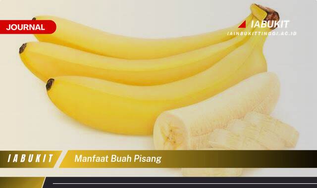 Inilah 9 Manfaat Buah Pisang untuk Kesehatan, Kecantikan, dan Lainnya Inilah 9 Manfaat Buah Pisang untuk Kesehatan, Kecantikan, dan Lainnya
