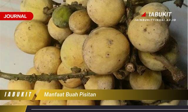 Inilah 9 Manfaat Buah Pisitan, Khasiat Tersembunyi dan Cara Mengolahnya untuk Kesehatan Optimal