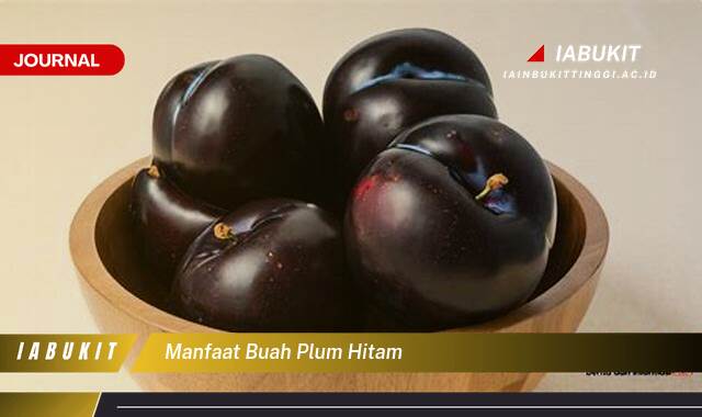 Ketahui 8 Manfaat Buah Plum Hitam untuk Kesehatan Tubuh Anda Ketahui 8 Manfaat Buah Plum Hitam untuk Kesehatan Tubuh Anda