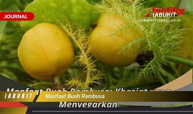 Inilah 10 Manfaat Buah Rambutan untuk Kesehatan Tubuh Anda Inilah 10 Manfaat Buah Rambutan untuk Kesehatan Tubuh Anda