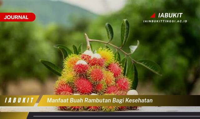 Inilah 10 Manfaat Buah Rambutan Bagi Kesehatan dan Kandungan Nutrisinya yang Luar Biasa