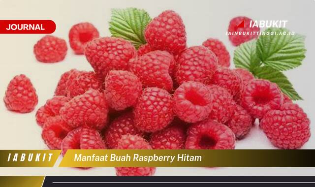 Inilah 10 Manfaat Buah Raspberry Hitam untuk Kesehatan Anda yang Menakjubkan