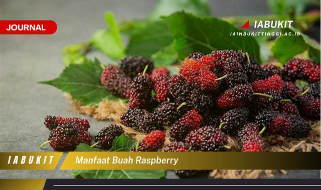 Inilah 9 Manfaat Buah Raspberry untuk Kesehatan Anda