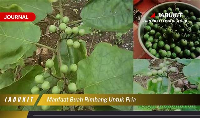 Inilah 10 Manfaat Buah Rimbang untuk Pria, Tingkatkan Testosteron dan Stamina Secara Alami!