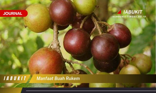 Ketahui 8 Manfaat Buah Rukem untuk Kesehatan Tubuh Anda