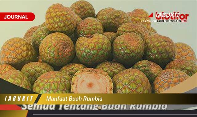 Inilah 10 Manfaat Buah Rumbia untuk Kesehatan dan Kecantikan