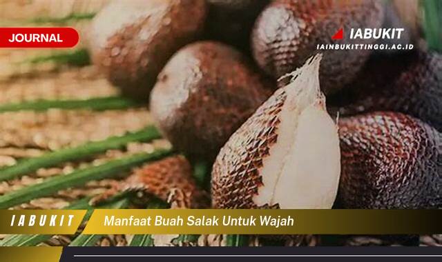 Inilah 9 Manfaat Buah Salak untuk Wajah, Rahasia Kulit Glowing Alami!