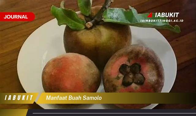 Inilah 10 Manfaat Buah Samolo untuk Kesehatan dan Kecantikan Anda