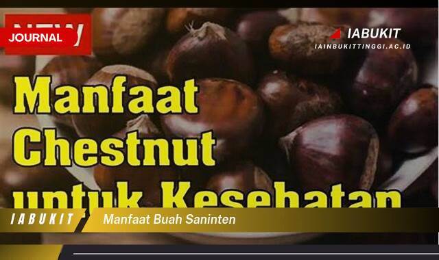 Inilah 9 Manfaat Buah Saninten untuk Kesehatan Tubuh Anda