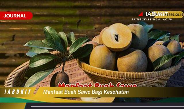 Inilah 10 Manfaat Buah Sawo bagi Kesehatan, Rahasia Panjang Umur dan Kulit Sehat Alami