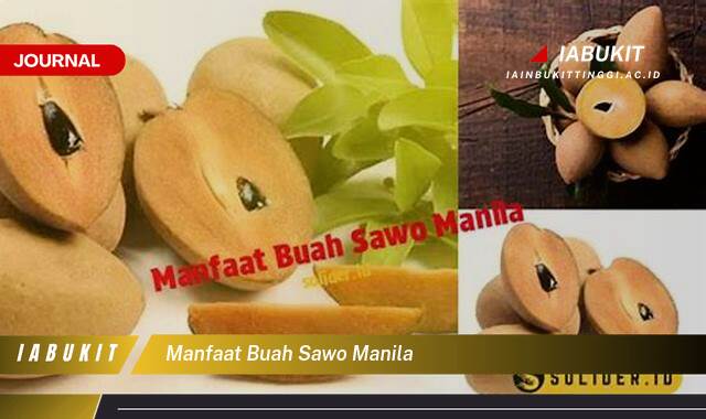 Inilah 8 Manfaat Buah Sawo Manila untuk Kesehatan, Kecantikan, dan Lebih Banyak Lagi!