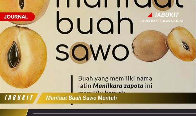 Inilah 10 Manfaat Buah Sawo Mentah, Kandungan Nutrisi dan Efek Samping yang Perlu Anda Tahu