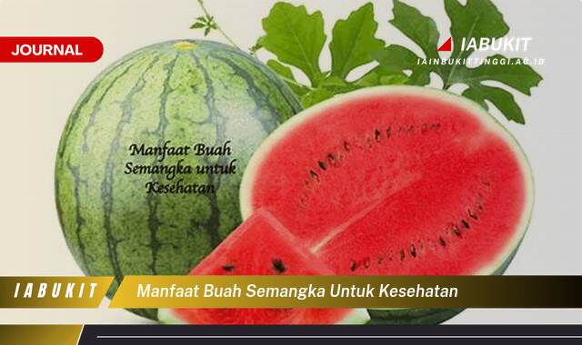 Inilah 8 Manfaat Buah Semangka untuk Kesehatan Tubuh Anda Inilah 8 Manfaat Buah Semangka untuk Kesehatan Tubuh Anda