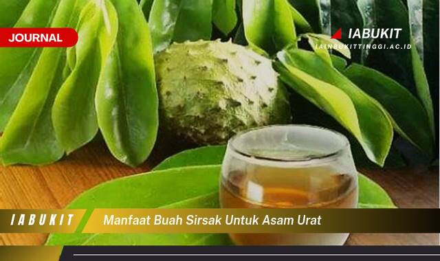 Inilah 10 Manfaat Buah Sirsak untuk Asam Urat, Meredakan Nyeri Sendi dan Mengurangi Peradangan