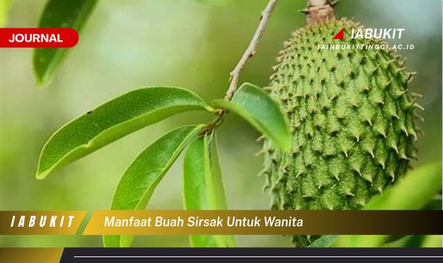 Inilah 9 Manfaat Buah Sirsak Untuk Wanita, Meningkatkan Kesehatan dan Kesejahteraan Anda