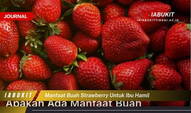 Inilah 8 Manfaat Buah Strawberry untuk Ibu Hamil,  Sederet Kebaikan bagi Bunda dan Si Kecil