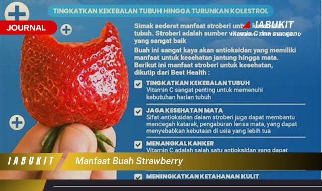 Inilah 8 Manfaat Buah Strawberry untuk Kesehatan Tubuh Anda Inilah 8 Manfaat Buah Strawberry untuk Kesehatan Tubuh Anda