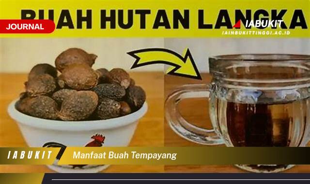 Inilah 10 Manfaat Buah Tempayang untuk Kesehatan Tubuh Anda