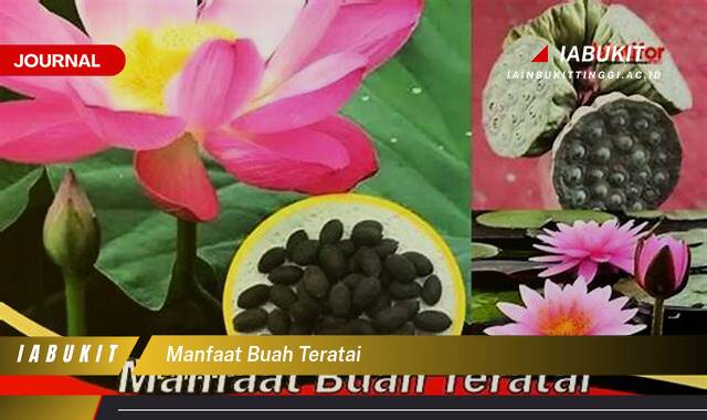 Inilah 8 Manfaat Buah Teratai untuk Kesehatan Tubuh Anda
