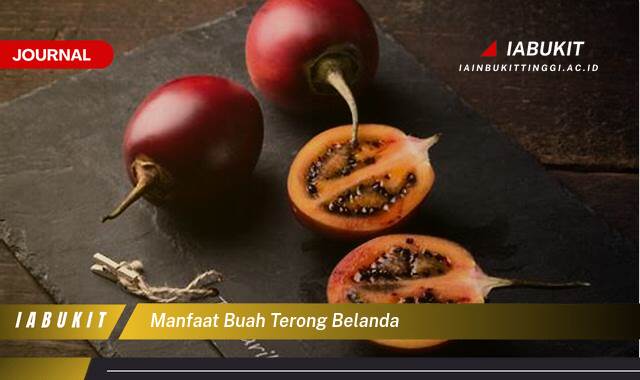 Ketahui 10 Manfaat Buah Terong Belanda untuk Kesehatan Tubuh Anda