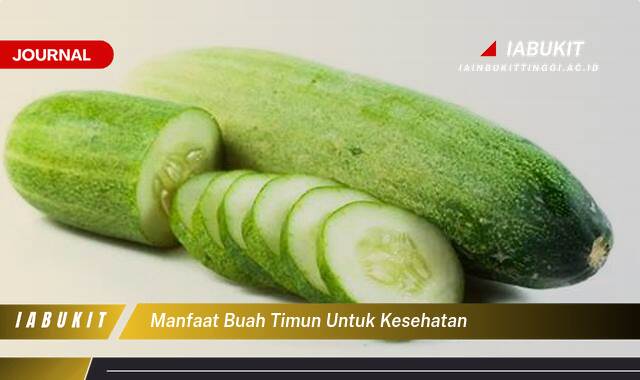 Inilah 8 Manfaat Buah Timun untuk Kesehatan Tubuh Anda Secara Lengkap Inilah 8 Manfaat Buah Timun untuk Kesehatan Tubuh Anda Secara Lengkap
