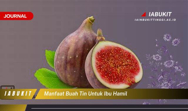 Inilah 8 Manfaat Buah Tin untuk Ibu Hamil, Nutrisi Lengkap untuk Kesehatan Bunda dan Janin