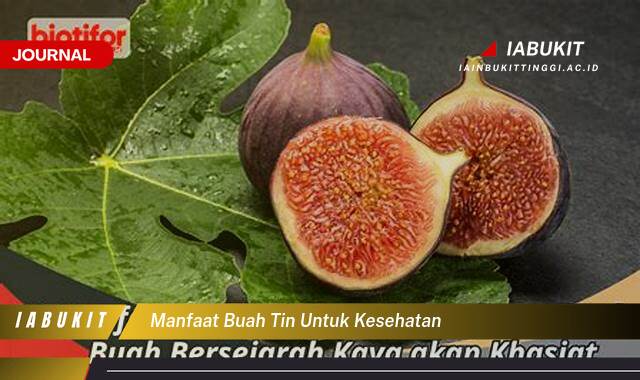 Inilah 8 Manfaat Buah Tin untuk Kesehatan Tubuh Anda Secara Keseluruhan