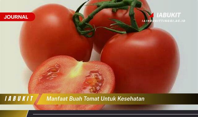 Inilah 9 Manfaat Buah Tomat untuk Kesehatan Tubuh Anda Secara Lengkap Inilah 9 Manfaat Buah Tomat untuk Kesehatan Tubuh Anda Secara Lengkap