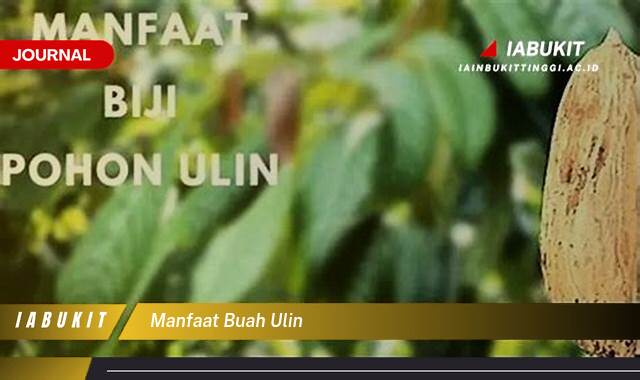 Inilah 8 Manfaat Buah Ulin, Rahasia Kesehatan Jantung dan Kulit Awet Muda