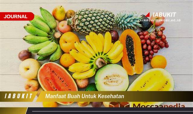 Inilah 10 Manfaat Buah untuk Kesehatan, Panduan Lengkap untuk Hidup Lebih Sehat dan Bugar