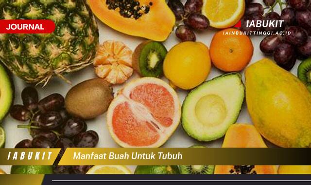 Inilah 8 Manfaat Buah untuk Tubuh Kenali Lebih Dalam Khasiatnya