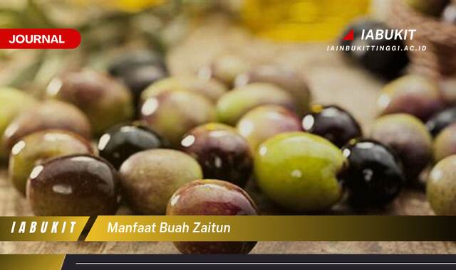 Inilah 10 Manfaat Buah Zaitun untuk Kesehatan, Kecantikan, dan Diet Anda Inilah 10 Manfaat Buah Zaitun untuk Kesehatan, Kecantikan, dan Diet Anda