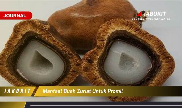 Inilah 8 Manfaat Buah Zuriat untuk Promil, Meningkatkan Kesuburan dan Mempercepat Kehamilan