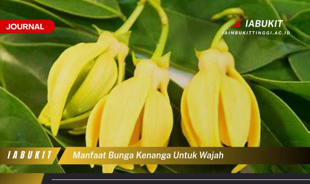 Inilah 8 Manfaat Bunga Kenanga untuk Wajah, Tips dan Cara Menggunakannya untuk Kulit Cantik Alami