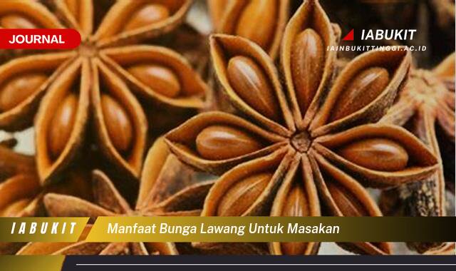 Inilah 8 Manfaat Bunga Lawang untuk Masakan, Aroma, Rasa, dan Khasiat yang Tersembunyi